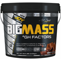 BIGJOY SPORTS - Bigjoy Sports BIGMASS Gainer + GH FACTORS Çikolata 3000 gr