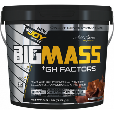 Bigjoy Sports BIGMASS Gainer + GH FACTORS Çikolata 3000 gr